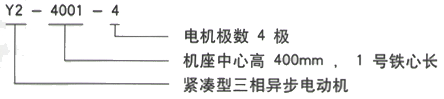 YR系列(H355-1000)高压YKK5601-8三相异步电机西安西玛电机型号说明